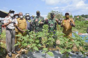 DANREM 172/PWY Panen Raya Bersama Masyarakat di Kebun SATGAS PAMTAS YONIF 131/BRS