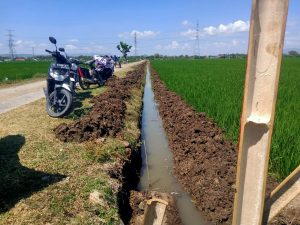 Pembuatan Talud di Dk. Majasto – Boto Terus Bergeser Cepat, Lokasi Baru Diawali Dengan Pemasangan Patok-Patok dan Bowplank