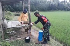 Cegah Serangan Hama, Babinsa Koramil 14/Rtp Bantu Petani Semprot Padi