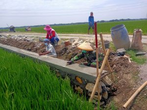Pekerjaan Talud Jalan Dk. Majasto – Dk. Boto, Fokus Pada Pekerjaan Finishing Pengacian