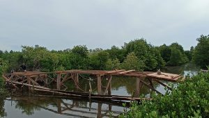 Sasaran Fisik Pembangunan Jembatan, Telah Masuk Tahap Pemasangan Papan Lantai