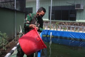 Tingkatkan Ketahanan Pangan, Dandim 0735/Surakarta Tebar Bibit Ikan Lele