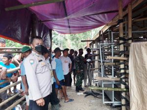 Dukung Desa 1000 Korporasi Sapi, Babinsa Dampingi Penyerahannya