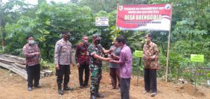 Ratusan Pohon Alpukat Dan Ribuan Pohon Kopi “ Robusta “ Ditanam, Ini Tujuannya