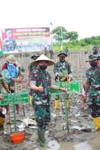 Kasad Tanam Mangrove Dan Tinjau Sirkuit Mandalika