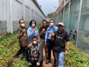 Meningkatkan Program Ketahanan Pangan, Rutan Kelas I Jakarta Pusat Mengadakan Kegiatan Panen Ubi Jepang