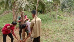 Cegah Hewan Ternak Berkeliaran, Babinsa Bersama Warga Berjibaku Buat Pagar Makam
