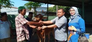 Hikmah Ketagwaan Rela Berkorban, Dandim 0505/JT Serahkan Hewan Qurban