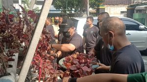 Wujudkan Ketahanan Pangan,Danramil 02/TB Kodim 0503/JB Melaksanakan Kegiatan Panen Tomat dan Bayam Merah