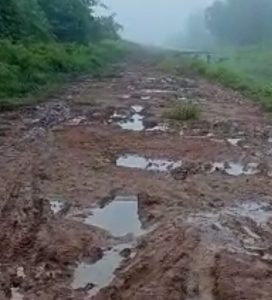 Potret Pilu Jalan Dan Parit Desa Sungai Durian Perlu Pantauan Pemerintah, Nasib Warga Terbengkalai