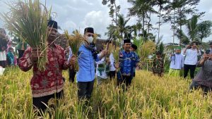 TGB Zainul Majdi Apresiasi Pengembangan Pertanian Organik PETA NWDI