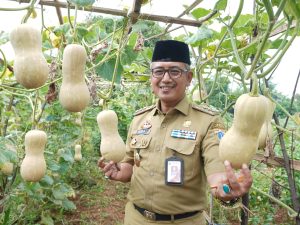 Genjot Urban Farming, Wali Kota Jakarta Barat Tanam Ribuan Pohon Pelindung, Pohon Produktif Dan Sayur Mayur