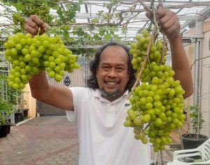 Kunjungan Penggiat Anggur  Dalam Program Remote Farming Area Hebitren Kota Tangsel
