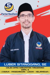 Maju Sebagai Caleg dari Partai Nasdem, Inilah Visi Misi Luber Sitanggang