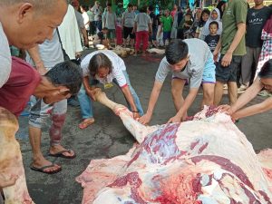 Masjid Jami Ath- Thayyibah Laksanakan Pemotongan Kurban16 Sapi dan 22 Kambing