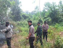 Gerak Cepat Satgas pamtas RI Malaysia Yon Armed 16 TK Memadamkan Kebakaran Hutan di Wilayah Kabupaten Sambas
