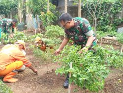 Koramil 04/Pulogadung Dukung Ketahanan Pangan Wilayah Dengan Giat Urban Farming