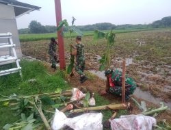Dukung Ketahanan Pangan, Kodim 0505/JT Tanam 250 Bibit Pohon Pisang