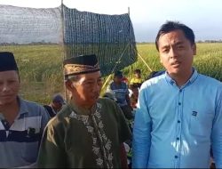 Kelompok Tani Desa Pucung Gelar ‘ ider – ider ” Ucap Syukur Hasil Panen Padi Yang Melimpah