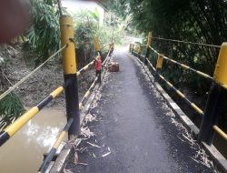Jembatan Penyebrangan Penghubung Perbatasan Tangerang Bogor Butuh Perhatian Pemerintah