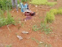 Dengan Sigap Babinsa Tapos,Tangani Korban Penganiayaan di Desa Tapos