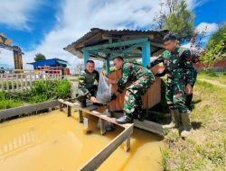 Satgas Yonif 509 Kostrad Tanam Sayur dan Tabur Benih Ikan Lele Untuk Warga Papua