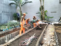 Manfaatkan Lahan Kosong, Babinsa Koramil Kramatjati Tanam Sayuran