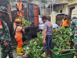 Karya Bakti Babinsa Matraman Bersama Petugas Kebersihan, Toping Pohon
