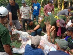 Panitia Kurban Berkah Bersama (PKBB) Dilaksanakan Setelah Selesai Shalat Ied Idul Adha 1445H/2024M