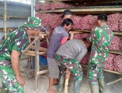 Penyiapan Bibit Bawang Urban Farming Korem 051/Wkt di Lahan Urban Farming Korem 051/Wkt, Wanajaya, Cibitung