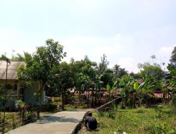 Pembangunan Askes Jalan Desa Mulai Selesai Dikerjakan