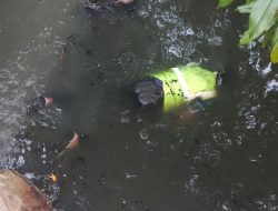 Warga Semper Barat Gempar Dengan Penemuan Sesosok Mayat Mengambang di Kali Progo