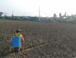 Prajurit Korem 051/Wkt Bekerja Sama dengan Poktan ( Warga Jaya ) Tingkatkan Budidaya Tanaman Bawang Merah