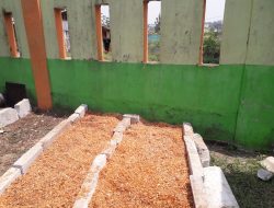 SDN Cibunar 03, Adakan Kegiatan Blajar Menanam Tanaman Sayur Mayur Yang Bermanfaat