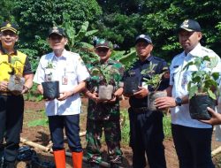 Manfaatkan Lahan Kosong, Babinsa Koramil Pulogadung Bersama Tiga Pilar Tanam Cabai
