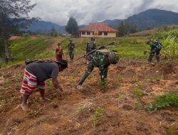 Warga Yonggolawi Antusias Cocok Tanam Bersama Satgas Habema