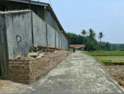 Warga Desa Gorowong : Ucapkan Banyak Terima Kasih Atas di Bangunnya Jalan Desa Betonisasi Serta Jalan Paving Blok