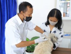 Puskeswan Kota Tangerang, Layani Kastrasi Hingga Pengobatan Gratis ke 6.167 Hewan Peliharaan Sepanjang 2024