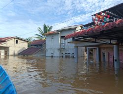 Ratusan Rumah di Kabupaten Landak Terendam Banjir, Warga Harapkan Bantuan Pemerintah