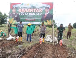 Kapolres Metro Tangerang Realisasi Asta Cita Presiden Prabowo, Penanaman 1 Hektare Jagung