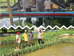 Dukung Ketahanan Pangan, Personil Polsek Balaraja Melakukan Pemantauan Budi Daya Ikan Lele