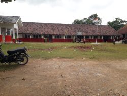 Sekolah Dasar Negeri (SDN) Batok 4, Belum Tersentuh Pemerintah Kabupaten Bogor