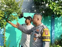 Bhabinkamtibmas Desa Margamulya, Bripka Rijal Gelar Program Kapolda Banten Poliran dan Pendataan Pekarangan Lestari