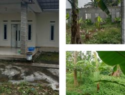 Dijual Rumah dan Kontrakan, Luas Tanah 800 Meter Lokasi Strategis
