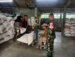 Babinsa Koramil 08/Lemahabang Monitor Panen Gabah di Cikarang Timur, 30 Ton Diserap BULOG
