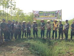 Panen Raya Singkong: Dandim 0509 Bersama Masyarakat Wujudkan Ketahanan Pangan