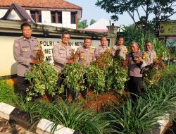 Panen Raya Kacang di Pekarangan Polsek Metro Kebayoran Baru