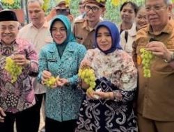 Lista Hurustiati SH, MH Bersama Perwakilan FWJ INDONESIA & PPRI, Hadir di Panen Raya Anggur PONJAY BENDAV – ASPAI
