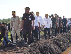 Cetak Sawah di Kalimantan, Prajurit TNI AD Sulap Lahan Jadi Lumbung Pangan