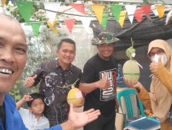 Selaras Farm : Pertanian Modern Panen Melon di tengah komplek